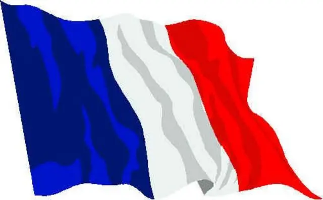 Professora Nativa de INGLES e FRANCES, Certificada TEFL - 30 Reais / hora
