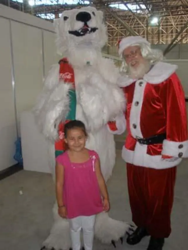 EMPREGO DE PAPAI NOEL