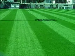 FAÇA SEU GRAMADO COM BAIXO CUSTO COM A GRAMA PHD
