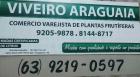 Mudas R$ 20 - Araguaí