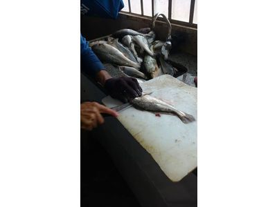 Vende se rancho a 50 km de Rio preto