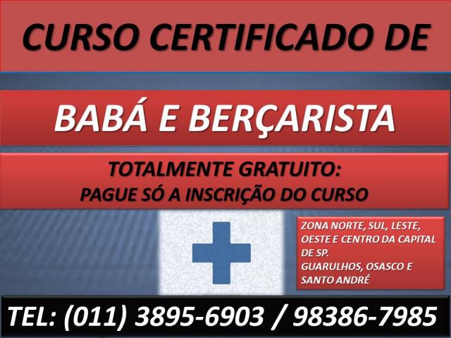 CURSO GRATIS GRATUITO DE BABA BERCARISTA EM SP