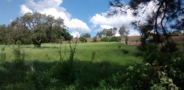 Código 1872 - Terrano no Jundiacanga em Araçoiaba da Serra