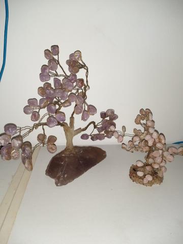 Árvores bonsai - Objetos de decoração