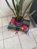 Enfeite Joaninha e Cogumelo de cerâmica - Objetos de decoração