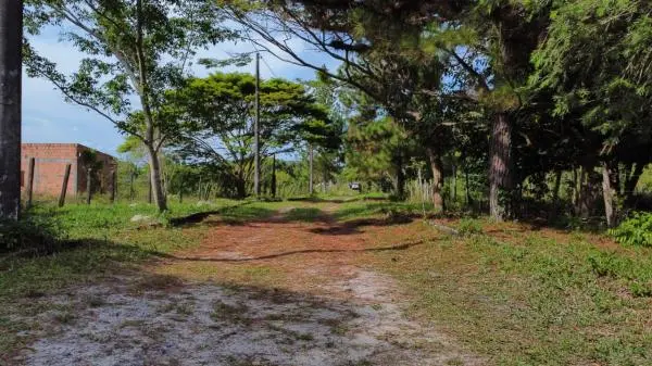6 Lotes de 480m em Fazenda Clube na Beira do Lago Santa Helena