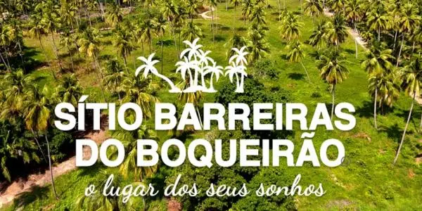 O MELHOR LUGAR DO MUNDO É AQUI E AGORA.