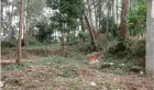 Terreno 520m2 Represa Guarapiranga