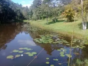 Sítio com lago e piscina