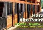 HARAS DE ALTO PADRÃO,107 ALQUEIRES,TATUÍ, SP