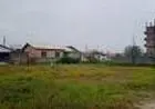 Lote com Escrituração IMEDIATA