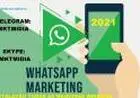 Software Envio Zap Envidivual Todas As Maquinas