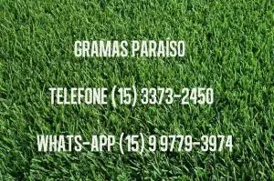 Grama Esmeralda