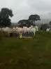 Arrenda -se Fazenda no Alto Araguaia