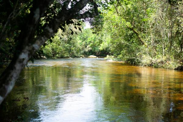 Sitio com casas, rio, natureza, agua pura