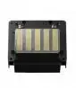 Epson PRO 11880C Printhead- F179000 / F179010 / F179030 (AsokaPrinting)