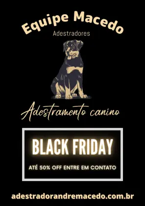 Adestramento de cães RJ