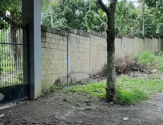 Terreno para sítio em Campo Grande