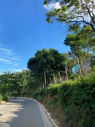 Lotes de 900 a 3.500 m2 São José da Lapa