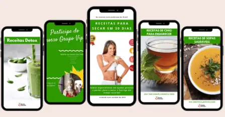 DESCUBRA O QUE ESTÁ POR TRÁS DE RECEITAS PARA SECAR 30 DIAS
