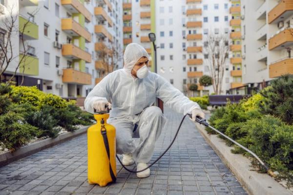 Empresa de Dedetização - Excelência em Qualidade https://www.dedetizadoramooca.com.br/