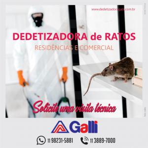 Dedetização de Ratos - Itapevi/SP