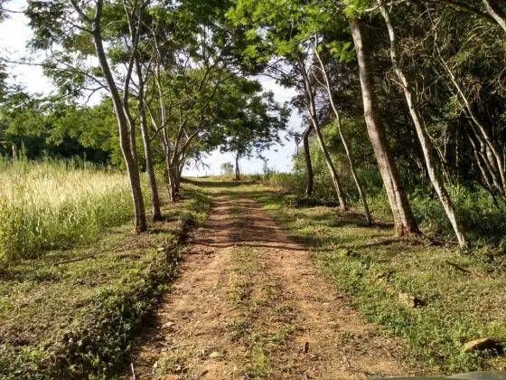 Chácara