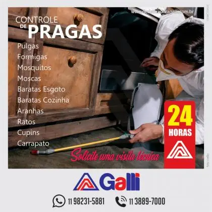 Dedetizadora Galli Controle de pragas urbanas em São Paulo