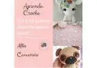 Aprenda Croche do Zero