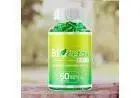 bio detox