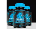 Cavalo Grande
