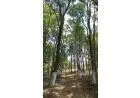 Terreno condomínio fechado-Km 68 da Rodovia Castelo Branco