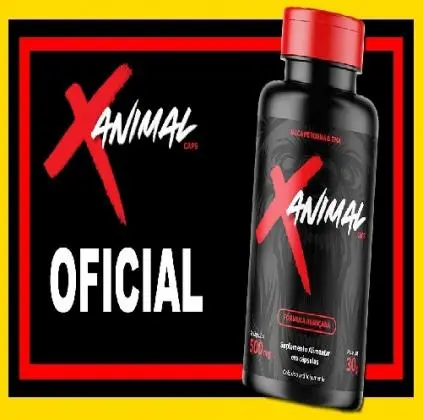 X-Animal