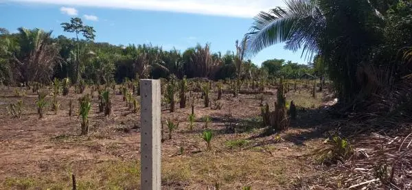 Lote 15 x 50 em Nazária