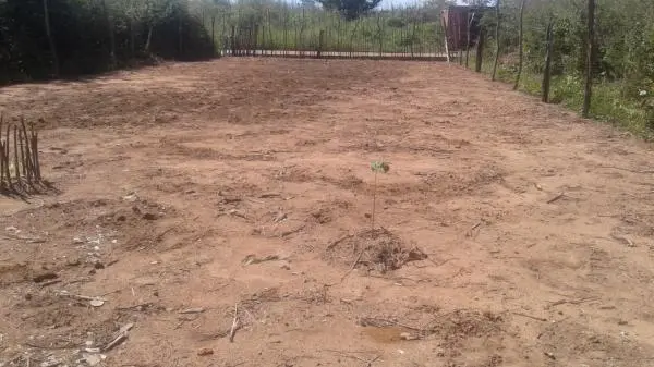 TEREENO 10X30