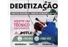 Dedetização Flex combate de insetos, ratos em Belo Horizonte