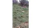 VENDO TERRENO 357M2