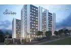 Apartamento financiado caixa cef, baixa renda cadastro casa verde amarela, minha casa minha vida em 