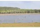 Área na beira do lago do Manso