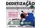 Dedetização Flex unidade Belo Horizonte no controle de pragas urbanas