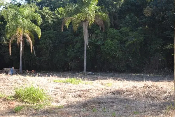 Terreno Portal das Figueiras - Itapetininga SP