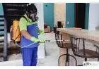 Empresa de Dedetização  - Excelência em Qualidade