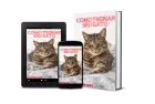 Como treinar seu gato