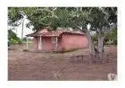 Vende-se uma ROÇA na Pedra Ferrada oportunidade promoção Feira de Santana Bahia Brasil