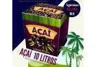 Melhor Açaí e Cupuaçu