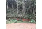 Terreno à venda no Parque Imperial - Nova Friburgo - RJ