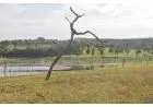 Área beira do Lago de Manso