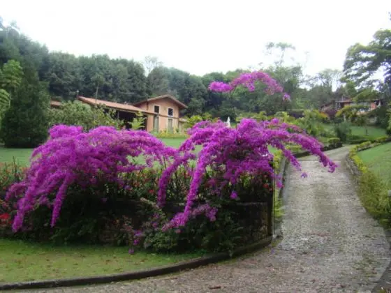 Casa para venda com 4 quartos (suítes) Região Granja Viana