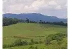 Vendo 15, 73 Hectares com Vista para a Serra de São José - Tiradentes (MG)