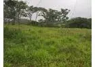 Vendo àrea 10, 6 Hectares - Ritápolis - MG